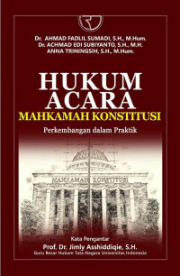 Hukum Acara Mahkamah Konstitusi: Perkembangan dalam Praktik