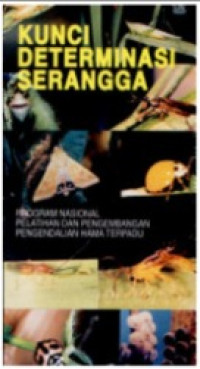 Kunci determinasi serangga